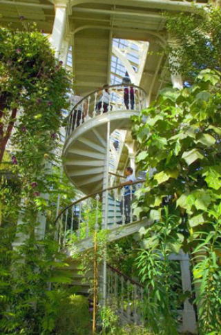 Kew Gardens 王立植物園 キュー ガーデンズ ロンドン観光