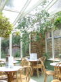 The Kew Greenhouse
